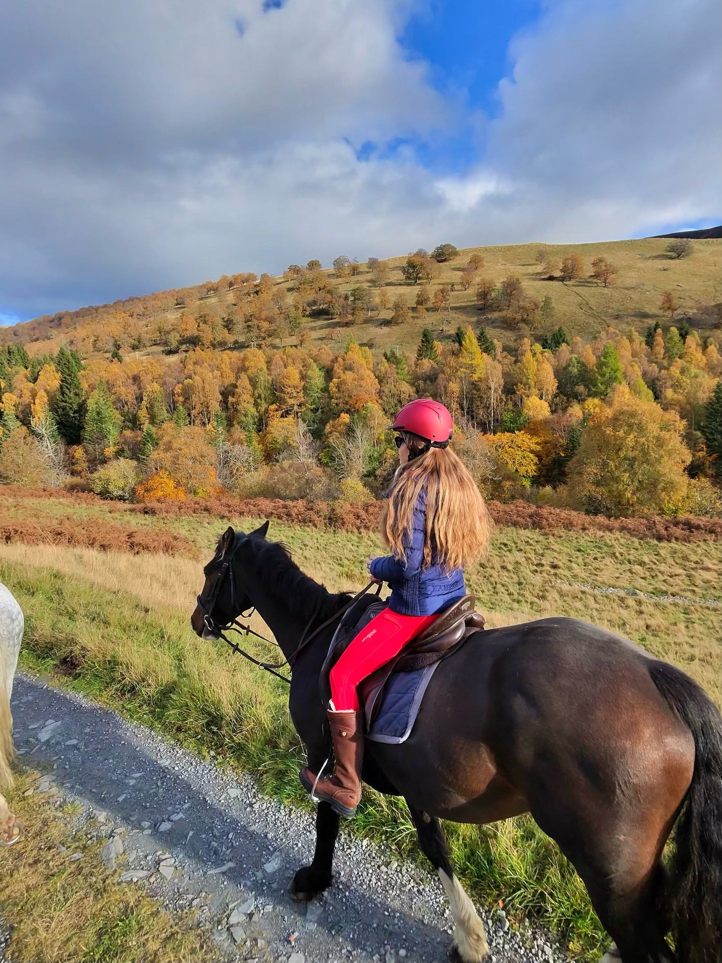 Puffer Vest - Pre-Order ETA January